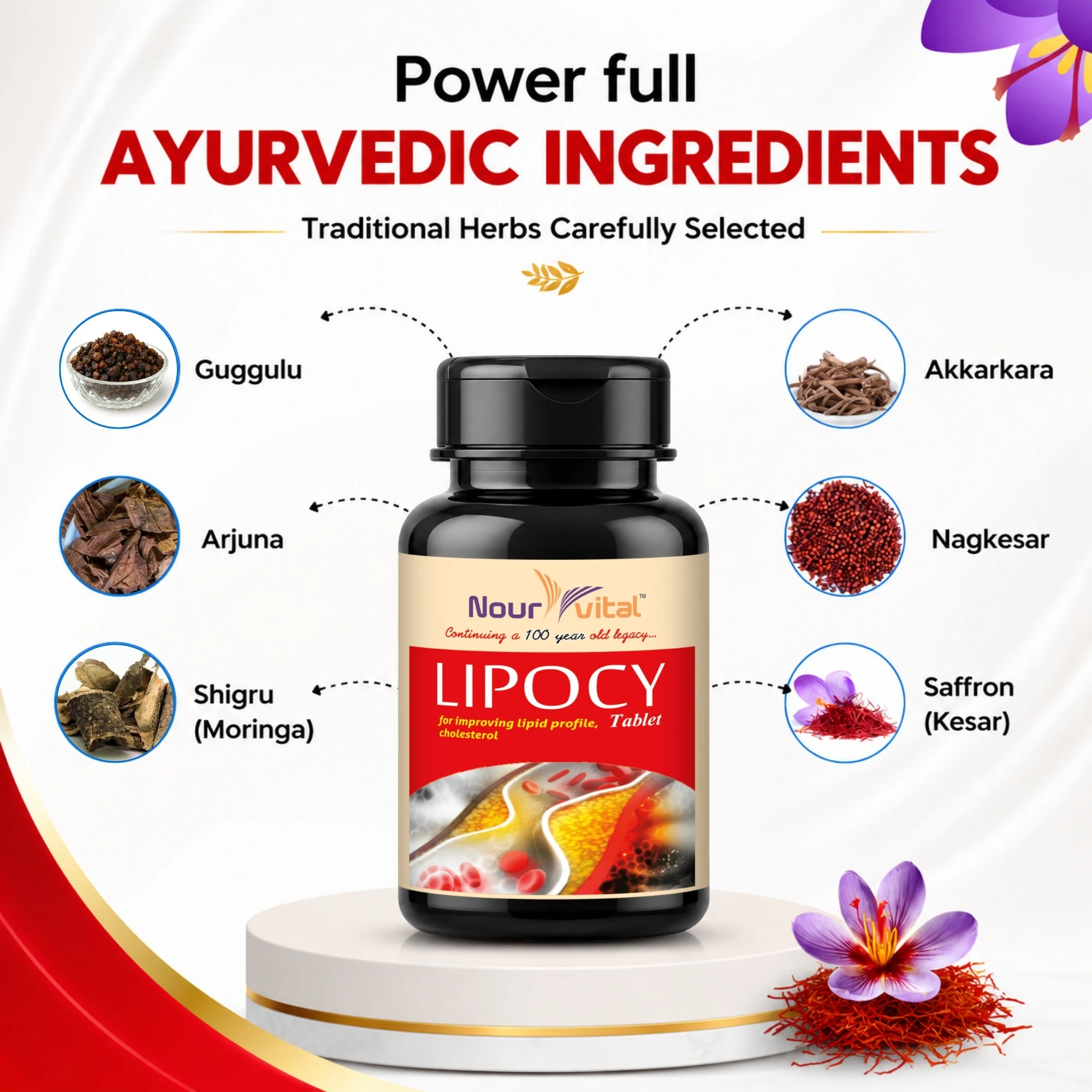 Lipocy Tablet
